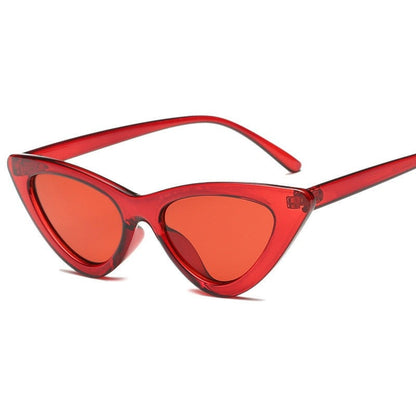 SHAI SUNGLASSES